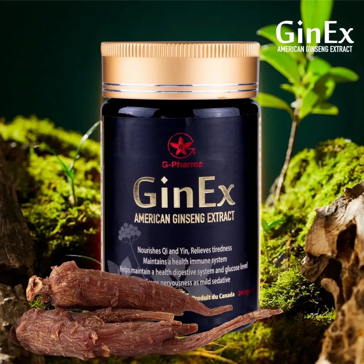 GinEx 西洋蔘黑膏滋 240g